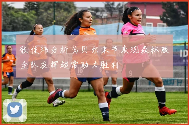 张佳玮分析戈贝尔末节表现森林狼全队发挥超常助力胜利