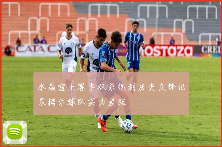 水晶宫上赛季双杀热刺历史交锋记录揭示球队实力差距